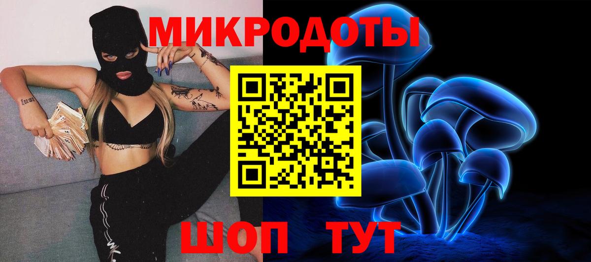 Псилоцибиновые грибы мицелий Тутаев